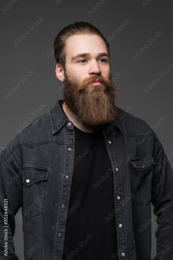 Obraz premium Portrait of handsome bearded man isolated on gray background