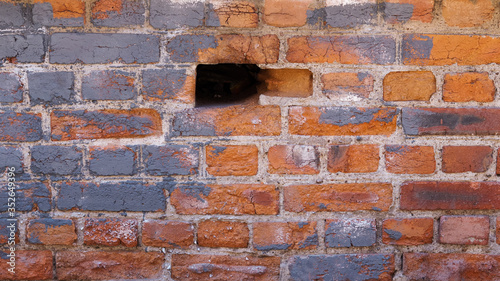 Old brick wall. Grunge texture background