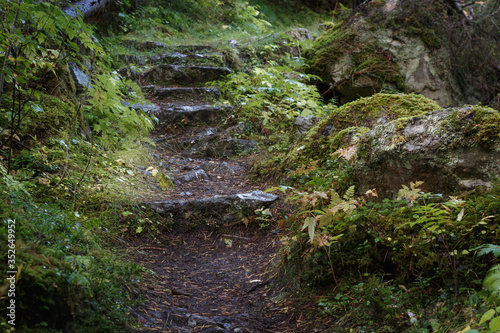 Fototapeta Naklejka Na Ścianę i Meble -  Stone forest path on the island of Fröson