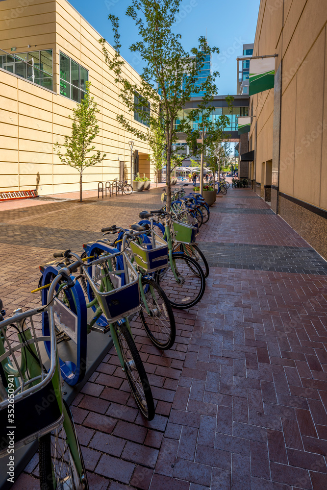 Rental bikes parked in a nice neat row in a public area Rental bikes parked in a nice neat row in a public area