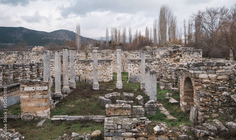 Aphrodisias Ancient City UNESCO World Heritage Site. The common name of many ancient cities dedicated to the goddess Aphrodite. The most famous of cities called Aphrodisias. Karacasu - Aydın, TURKEY