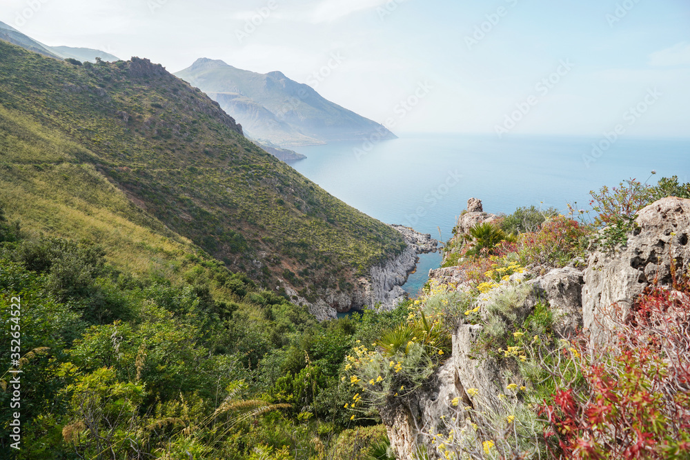 Peaceful view with red flowers and sea in Nature Reserve Zingaro in Sicily