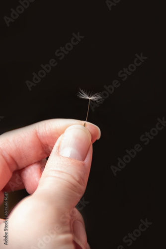 Dandelion seed in woman's hand with nude manicure