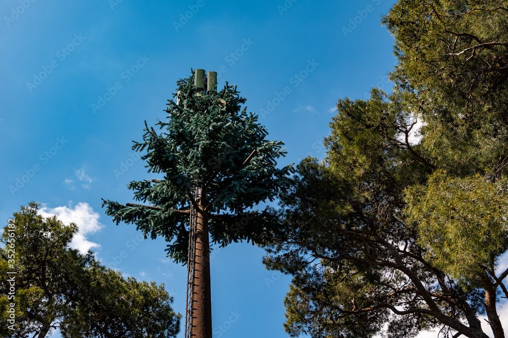 Fototapeta premium 5G camouflage