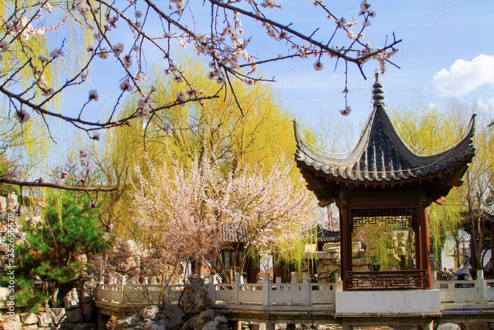 A park with Chinese Architecture pavilion antique building in Spring A park with Chinese Architecture pavilion antique building in Spring