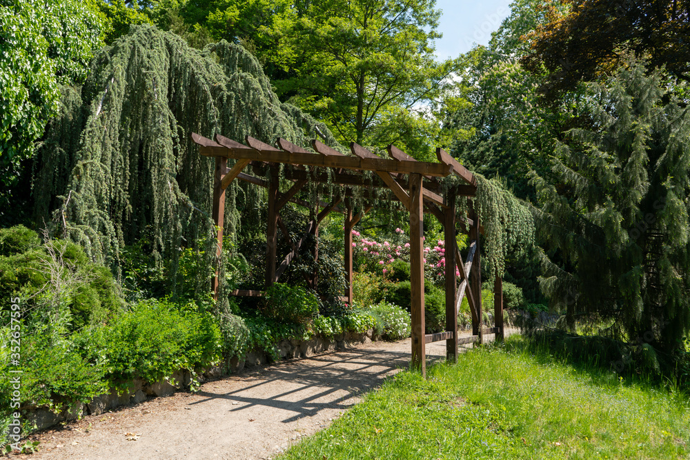 wood arbor in the park