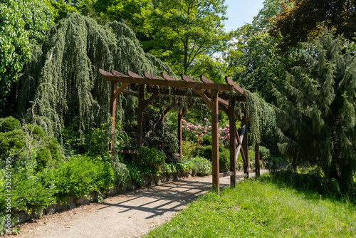 wood arbor in the park