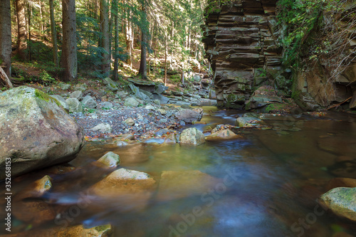 Mountain river creek among stones and trees