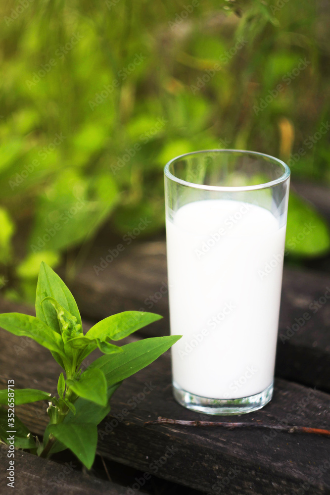 Glass of milk stand on wooden desks. Green meadow background. International milk day. 1 June. Fresh bio milk . Vertical orientation Glass of milk stand on wooden desks. Green meadow background. International milk day. 1 June. Fresh bio milk . Vertical orientation