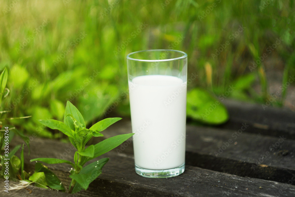 Glass of milk stand on wooden desks. Green meadow background. International milk day. 1 June. Fresh bio milk Glass of milk stand on wooden desks. Green meadow background. International milk day. 1 June. Fresh bio milk