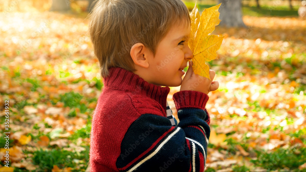 Happy smiling toddler boy holding yellow fallen autumn leaf at park Happy smiling toddler boy holding yellow fallen autumn leaf at park