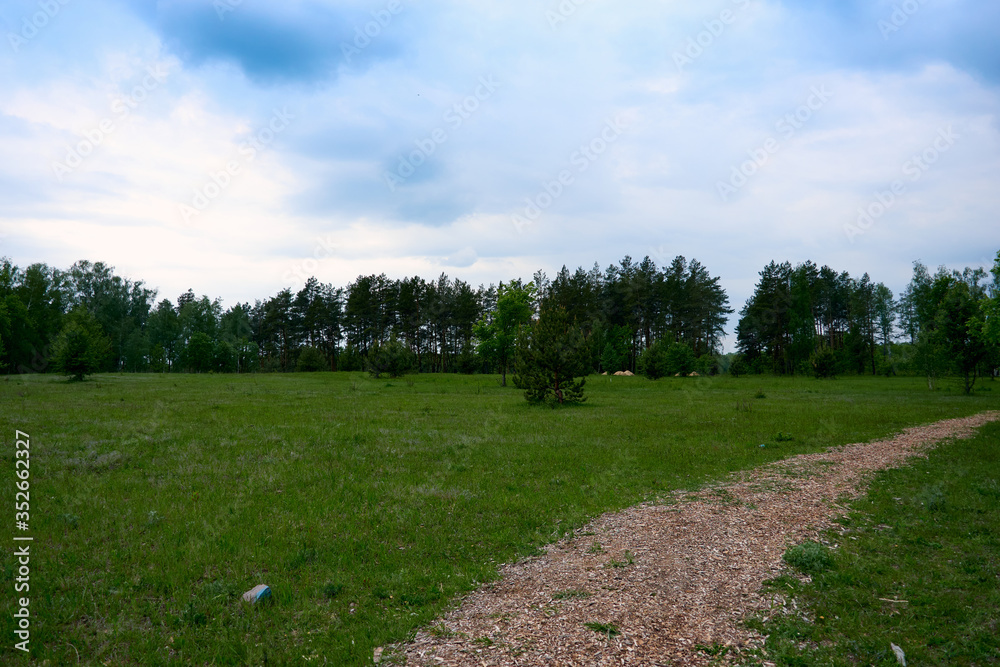 Obraz premium Beautiful panorama of green city park at dawn. Green Forest summer Landscape and blue sky.
