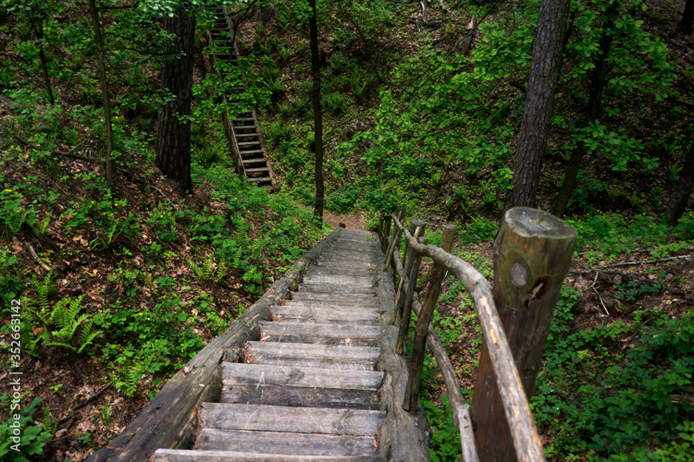Fototapeta premium Beautiful panorama of hiking trail. Green Forest park Landscape and blue sky.