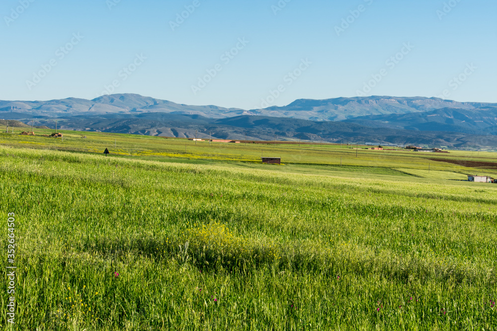 Beautiful scenic views of green fields and mountains in the background from The Aures mountains in Algeria