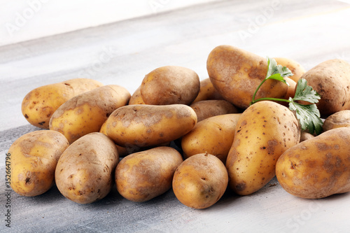 Pile of potatoes lying on wooden boards. Fresh healthy potato
