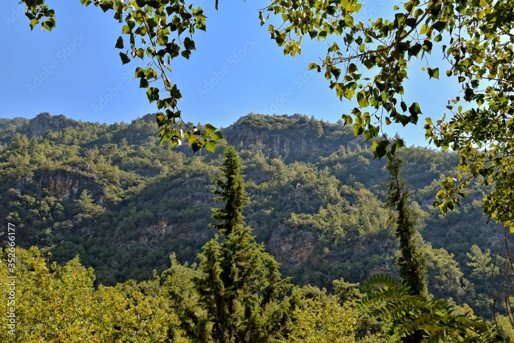 summer landscape of the Turkish mountains with green trees