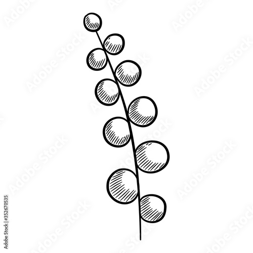 Plant berry branch icon, hand drawn style photo