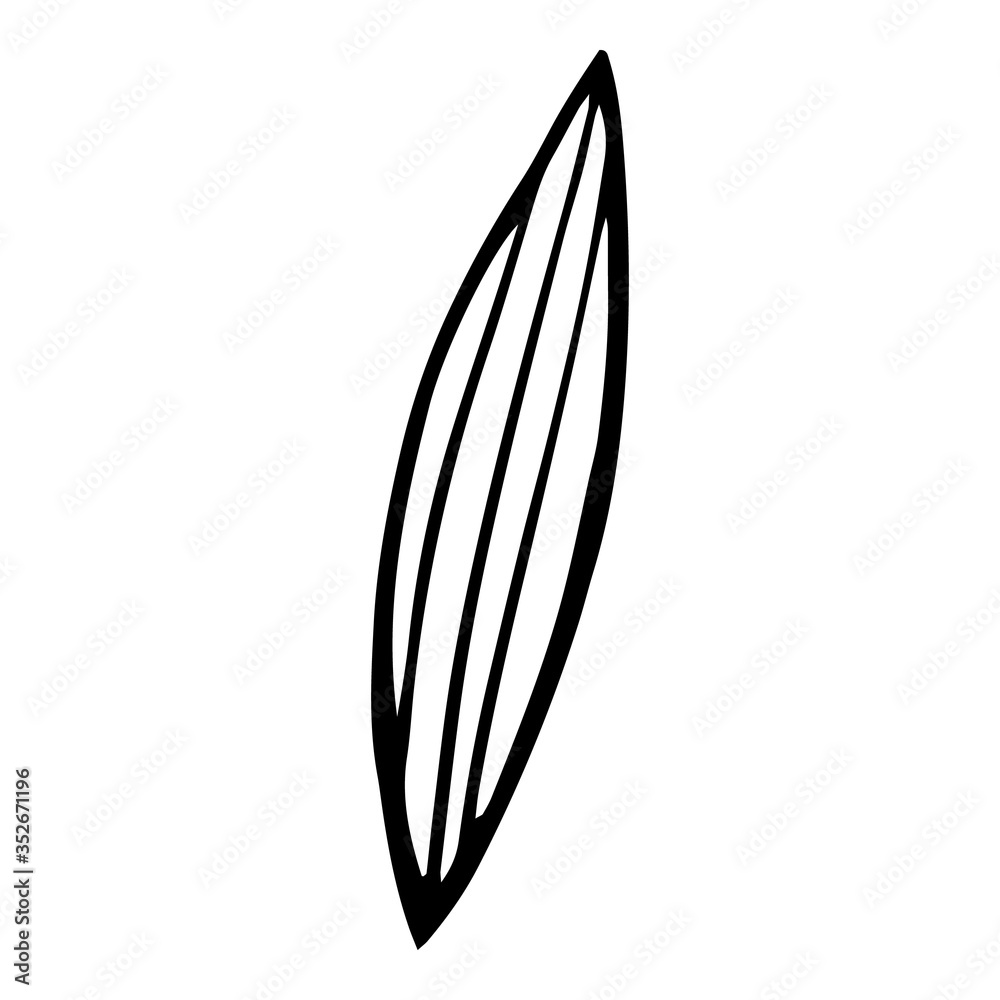 Peony long leaf icon, hand drawn style