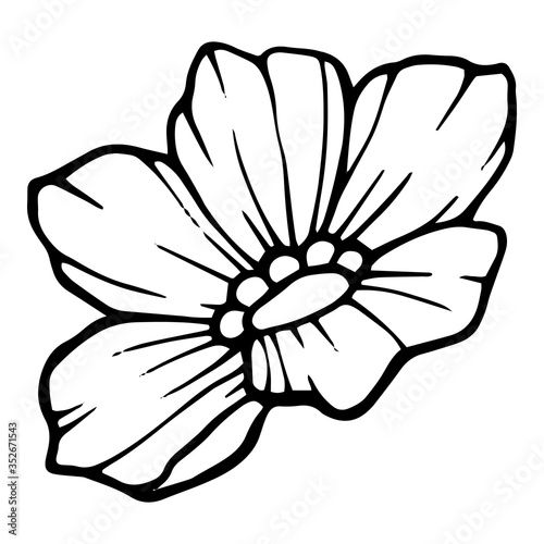 Blossom garden flower icon. Hand drawn illustration of blossom garden flower vector icon for web design