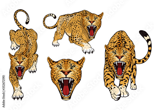 Leopard logo set. Angry, leopard. Predator animal. Tameless color logo. Leopard stands in different poses. Animal for sports mascot. Wild big cat. Natural. Logo animal for tattoo or t-shirt print