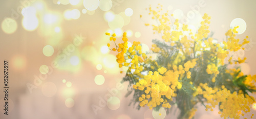 spring mimosa flowers. gift card concept. garden flowers 