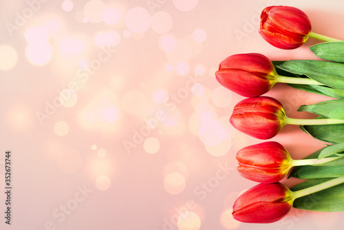 red tulips on a pink background. gift card concept. woman's day. mother day. victory day photo