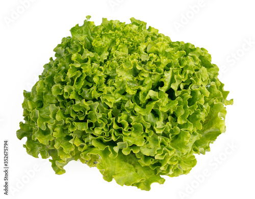 Fresh batavia salad