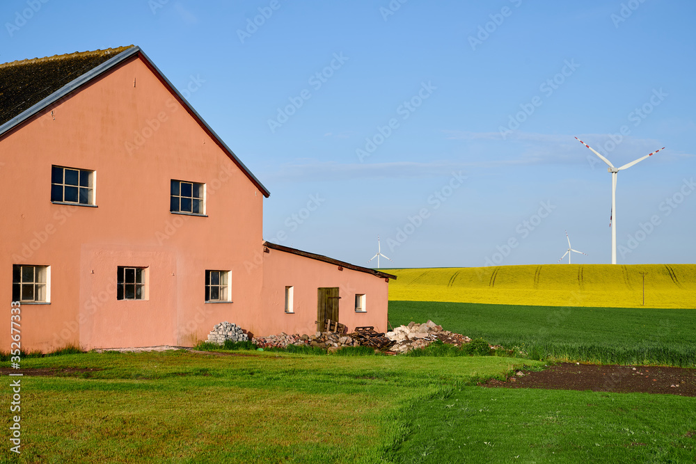 old red barn and rape field