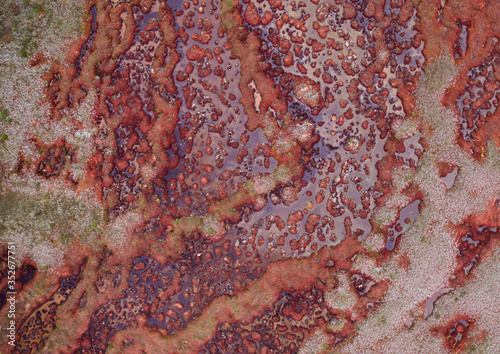 Natural Peatland, Overhead Aerial View of a red peat fen and Sphagnum magellanicum moss in Tierra del Fuego, Patagonia Argentina