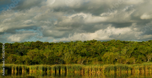 Pre Delta National Park Panorama View. Wildlife and Flora. Lake in the forest with green and textured foliage reflected in the water, under a beautiful sky with clouds