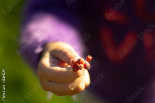 give