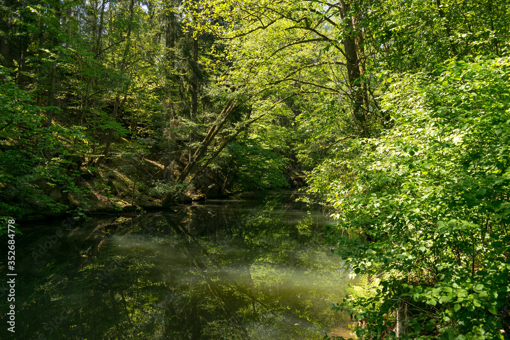Die Schwarzachschlucht zwischen Feucht und Schwarzenbruck in der Nähe von Nürnberg bietet einen schönen Wanderweg mit Blick auf die Schwarzach. Der Fluss spiegelt das Grün der Bäume. - obrazy, fototapety, plakaty 