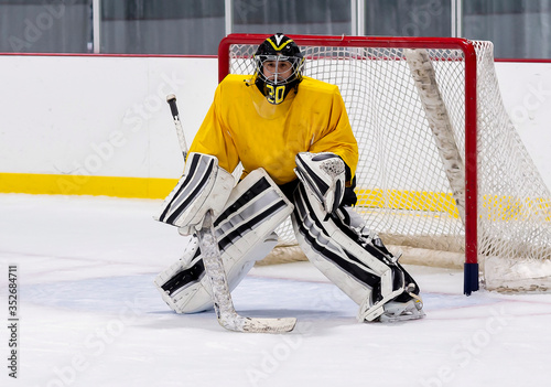 Hockey goalie in action