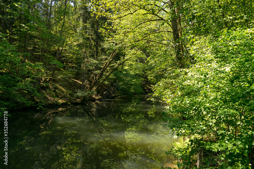 Die Schwarzachschlucht zwischen Feucht und Schwarzenbruck in der Nähe von Nürnberg bietet einen schönen Wanderweg mit Blick auf die Schwarzach. Der Fluss spiegelt das Grün der Bäume.