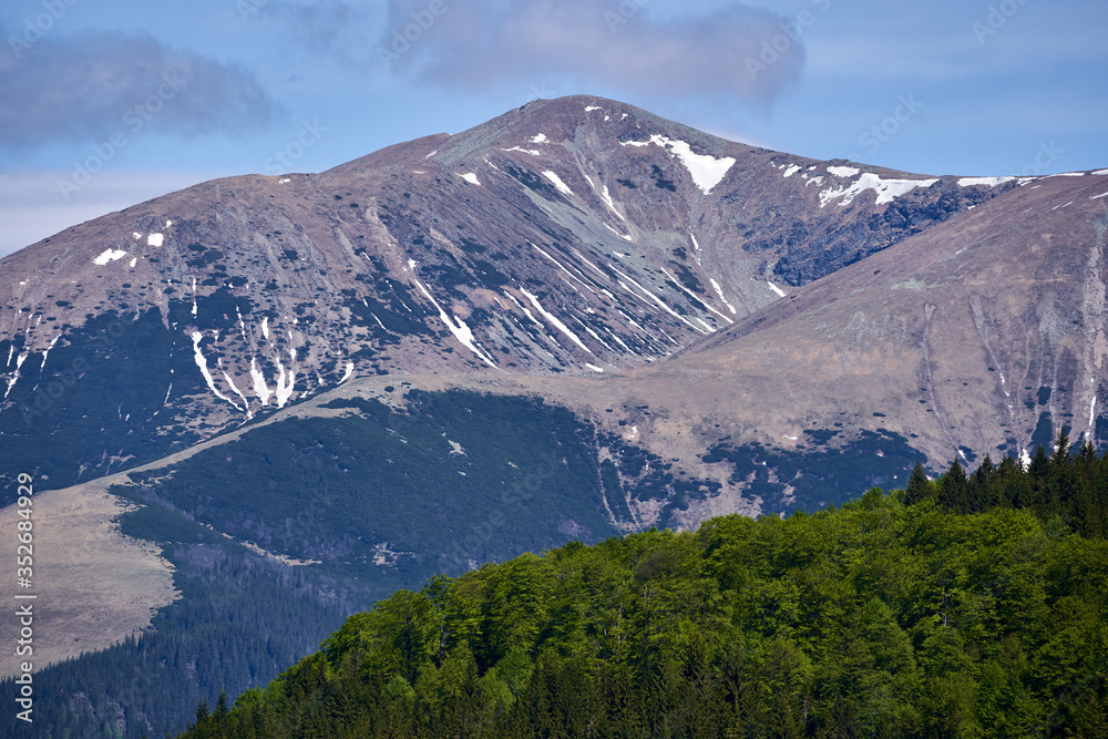 Fototapeta premium Mountains in the early summer