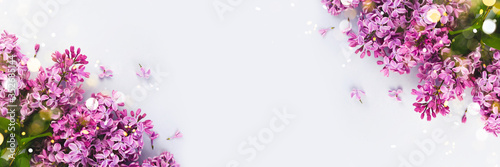 Lilac branch flower blooming banner in sunlight. Spring, summer design template, space for text on bright background