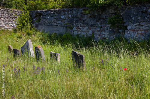 Very old abandoned Jewish cemetery photo