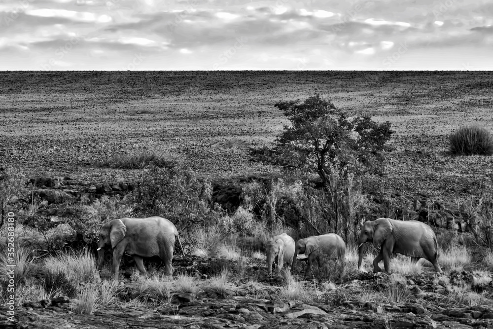 Fototapeta premium Travel Africa