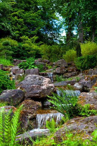Japanese garden with a small stream