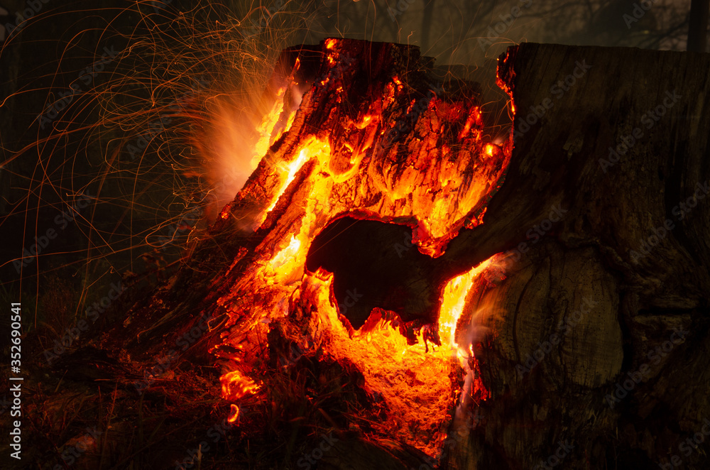 Fire in the forest. Extinguish a fire at night. The old big dry stump burns. Unquenched cigarette butt or careless handling of fire leads to fire and accident. Fire in the forest. Extinguish a fire at night. The old big dry stump burns. Unquenched cigarette butt or careless handling of fire leads to fire and accident.