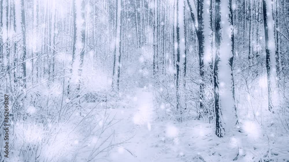 Tree pine spruce in magic forest winter with falling snow sunny day.