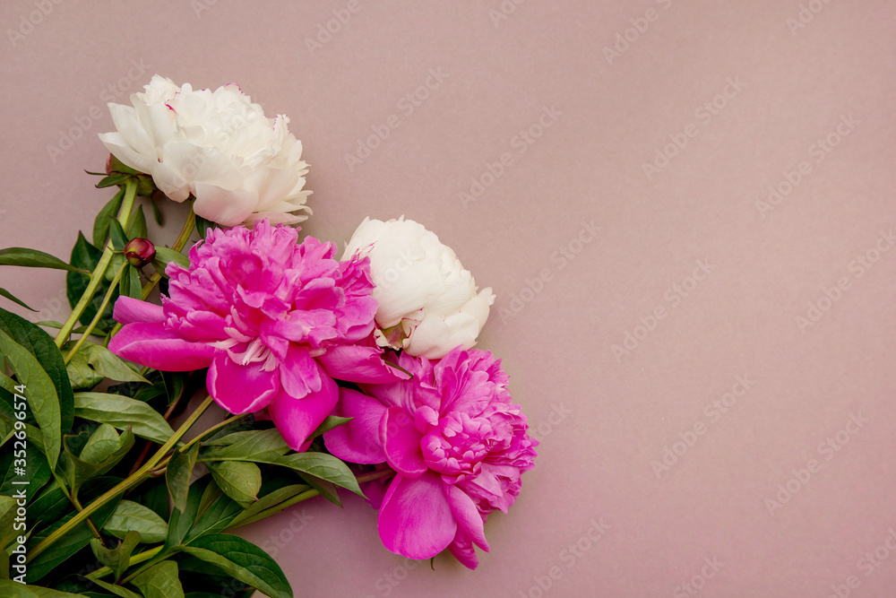 Layout of a minimalist postcard with a flower of pink peonies, an envelope for needlework, flowering, flat lay, top view. Pink background. Congratulations on mother's day. Happy Birthday. Delicate bac