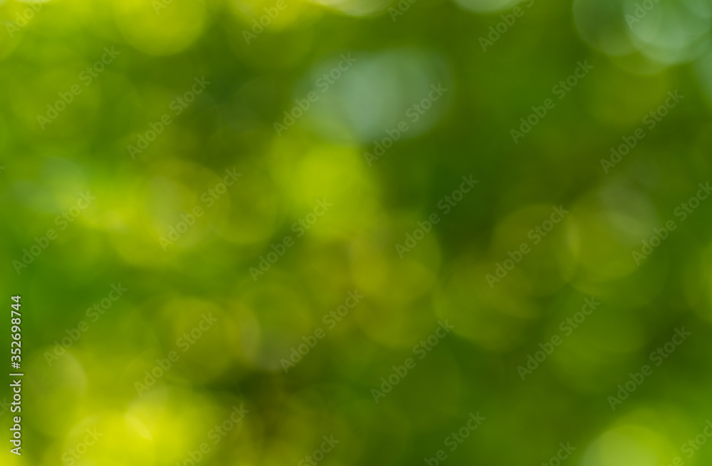 Nature Bokeh - Abstract background. Nature Bokeh - Abstract background.