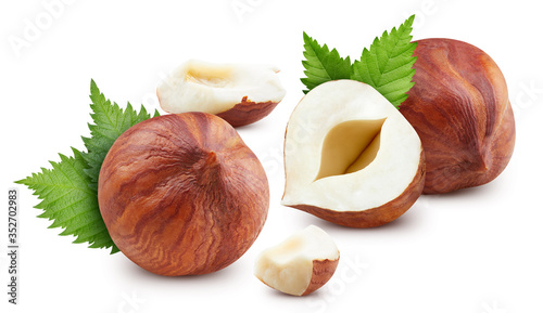 Foto Hazelnut isolated on white background