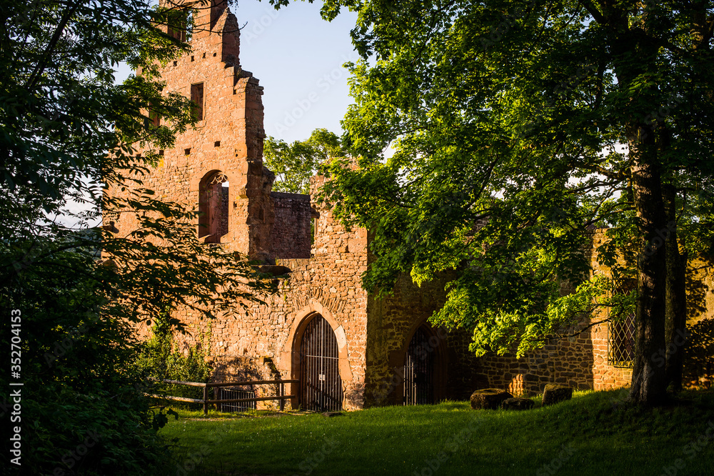 Klosterruine Limburg 