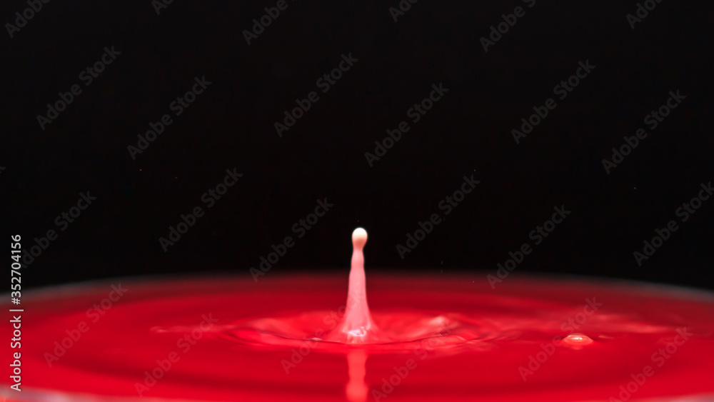 Fototapeta premium White color drop falling into pink water and splash