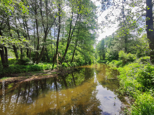 Spring Landscape of Iskar River near Pancharevo lake, Bulgaria