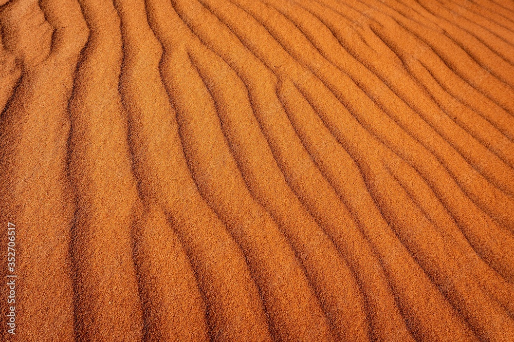 Fototapeta premium Simpson Desert Australia 2019
