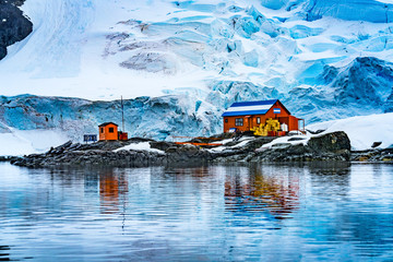 Poster Antarctica Sneeuwval bij Paradise Harbor Antarctica  © Bill Perry