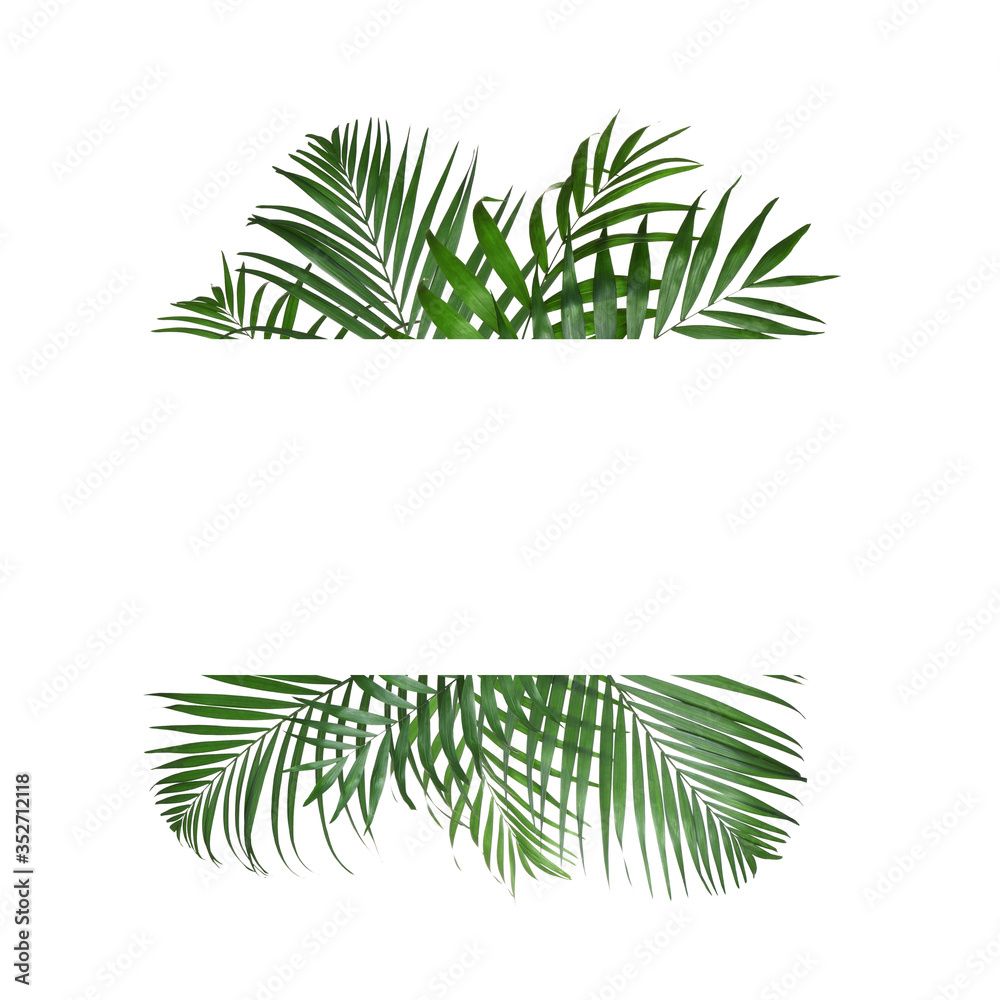 Fototapeta premium Frame made of beautiful lush tropical leaves on white background, top view. Space for text
